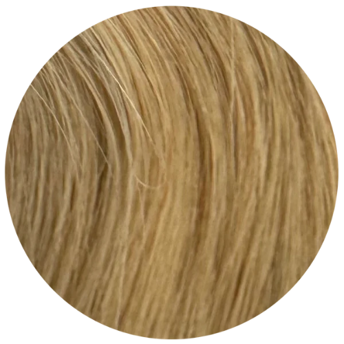 Brigitte Blonde - Solo Fibers