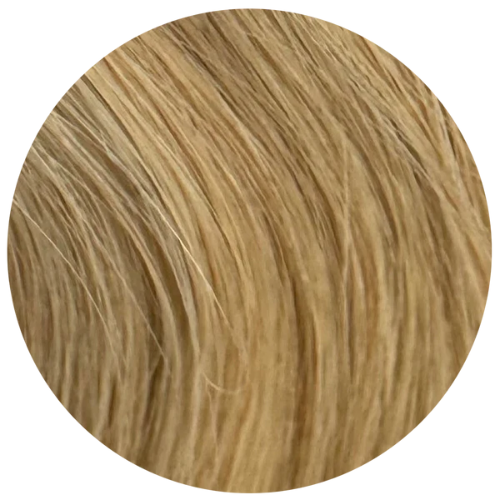 Meryl Blonde - Solo Fibers